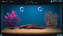 画像ギャラリー No.006のサムネイル画像 / アクアリウムショップ経営を楽しめる「The Fish Corner」,デモ版が6月12日にSteamで公開予定