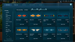 The Fish Corner