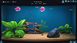 The Fish Corner