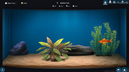 The Fish Corner