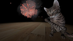 猫の手は救いの手