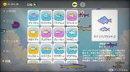 魚だらけの日々