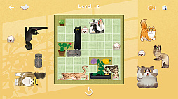 CATS BLOCKS: HOT SPRINGS