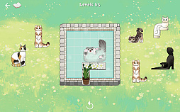 CATS BLOCKS: HOT SPRINGS