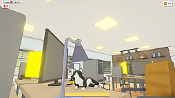 Cat Chaos