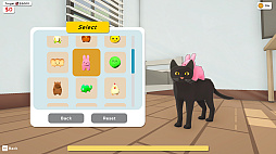 Cat Chaos