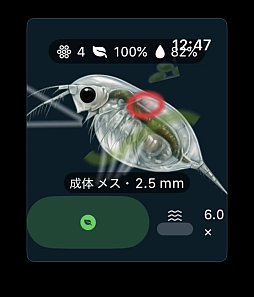 画像ギャラリー No.003のサムネイル画像 / ミジンコの成長や繁殖を観察できるシミュレーションゲーム「ミジンコ：生態観察ゲーム」Apple Watch向けに配信中