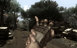 TGS 2008060ϡFar Cry 2׻ͷݡȡʥեꥫͳõǤ롤PCޡܤΰ