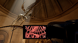 Museum 8