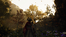 Among Shadows