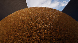 Needle In A Haystack Simulator