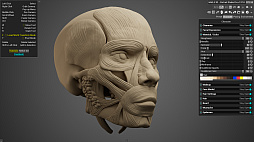 画像ギャラリー No.005のサムネイル画像 / 人間の顔や頭部の作画に特化した3Dリファレンスツール「HAELE 3D - Portrait Studio Pro」,本日配信開始。豊富なプリセットに加え,表情編集や照明調整などにも対応