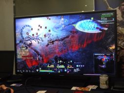 TGS 2014ϸϤ¤Ũ餱Kingdom Under Fire IIפޤ饯ɽΰüǥץ쥤ǳǧ