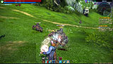 TERA :The Exiled Realm of Arborea