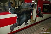 画像ギャラリー No.006のサムネイル画像 / 日本のユクモ村でいい旅狩り気分。「モンスターハンターポータブル3rd ×渋温泉 ユクモノ気分で狩り放題！」に行ってきた