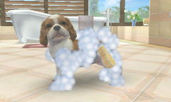 ȥסɥ뤫Ƹǽ˻ҸϤɤˤ롩nintendogs  catsפθȤ3Υѥåܺ٤餫