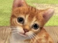 3DSΩɽǡ̾ϤɤޤѤΤ֥ Υ 3DʲΡˡסnintendogs + catsס֤ɤ֤ĤοʲΡˡץݡ