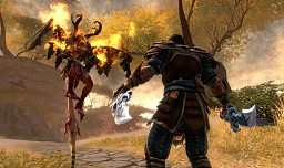 GamescomϹڥåտؤˤܳɥ󥰥륢RPGKingdoms of Amalur: ReckoningפμϤϡ