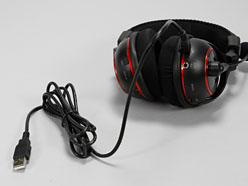 No.1Υൡإåɥåȥ֥ɤʪTurtle BeachΡPS3ɥ磻쥹ǥEar Force PX5ץӥ塼