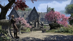 #001Υͥ/The Elder Scrolls OnlinePlayStation 4ǤǤΥץ쥤˥ץߥॢȤɬפʤ