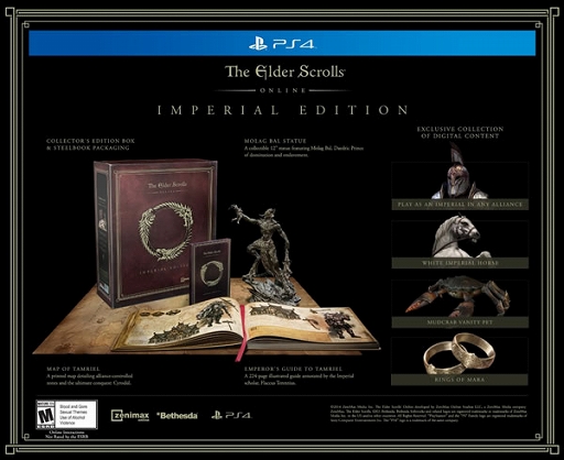 #004Υͥ/The Elder Scrolls OnlinePlayStation 4ǤǤΥץ쥤˥ץߥॢȤɬפʤ