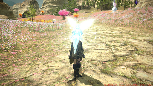 FFXIVΥ󥺡פǴ¸15֤ϤɤѤäΤͷǤΥץåǺ