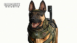#006Υͥ/Call of Duty: GhostsפΥƥΥǥModern Warfare 3ɤȤӤǰŪʥեåǽΤƤߤ褦