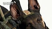 #008Υͥ/Call of Duty: GhostsפΥƥΥǥModern Warfare 3ɤȤӤǰŪʥեåǽΤƤߤ褦