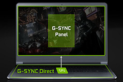 ʤ3DGEDirectX 12.012.1ΰ㤤G-SYNCοޤǡNVIDIA֤ʤΤʤGeForce