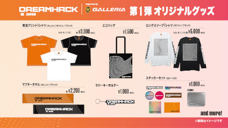 画像集 No.009のサムネイル画像 / 「DreamHack Japan 2023」，R6Sステージ企画の対戦カードと出演ゲストを発表。「ホグワーツ・レガシー」を用いた企画の開催も決定