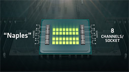 画像集 No.007のサムネイル画像 / AMDのサーバー向け次世代CPU「Naples」は2017年第2四半期に出荷。32コア64スレッド対応でメモリコントローラは8ch，PCIe Gen.3レーン数128