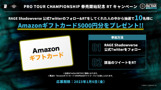 RAGE SHADOWVERSE PRO TOUR 22-23 CSåȤ䳫