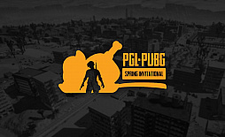  No.004Υͥ / PUBG JAPAN SERIES ꡼ Phase1סͥSunSister Suicider'sPGL PUBG Spring Invitationalפ˻