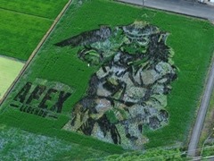 「Apex Legends」田んぼアートお披露目会レポート。色とりどりの稲で描かれた巨大ブラハが出現！