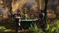 画像集#009のサムネイル/PS4版「Kingdoms of Amalur: Re-Reckoning」のPS Plus加入者向けフリープレイが本日スタート