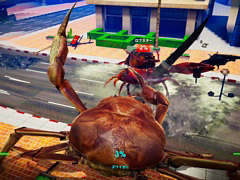 Switch版「カニノケンカ -Fight Crab-」が本日発売。挿入歌2曲の歌詞付きMV（ショートVer.）が公開
