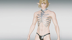 画像ギャラリー No.032のサムネイル画像 / 「NGS ver.2」，期間限定クエスト「想定演習：風夏のエアリオ攻防戦」を追加