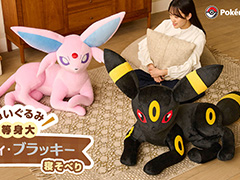 �����票���ե����֥�å����Τ̤�����ߡ��������դ򳫻ϡ�ͽ�����ã�������ϺƼ�����ͽ��