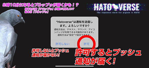 画像ギャラリー No.001のサムネイル画像 / 「ハトバース」,8:10にプッシュ通知が届くアップデートを実施