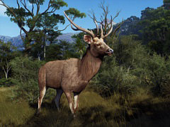 ニュージーランドの大自然の中で狩猟を楽しめる。「Way of the Hunter」，追加DLC「マタリキ公園」配信開始