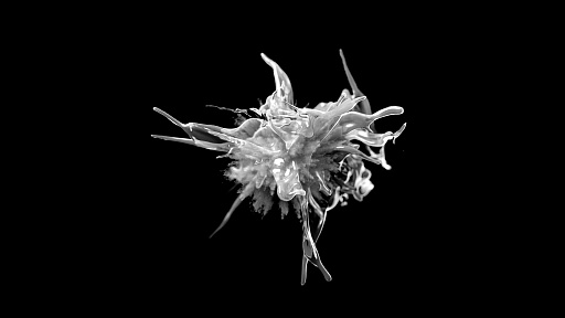 画像ギャラリー No.040のサムネイル画像 / Sam Barlow氏の新作も。Kinetic Publishingが第1弾5タイトルを発表したオンラインショーケース＆合同インタビューをレポート