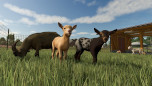 画像ギャラリー No.010のサムネイル画像 / 「Farming Simulator 25」,コンテンツ拡張パック「Plains & Prairies Pack」を6月3日に配信。シリーズ初登場のFordから2種類のモデルを追加