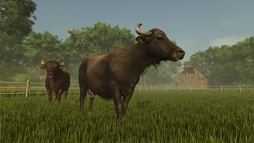 画像ギャラリー No.009のサムネイル画像 / 「Farming Simulator 25」,無料DLC「Pumps N' Hoses Pack」を配信