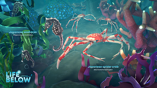画像ギャラリー No.007のサムネイル画像 / 海洋SLG「Life Below」に登場する日本近海の生きものが決定！　読者投票で選ばれたのは……プレゼント当選者の発表もあります