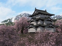 �Υץ쥤��ݡϡ�Forza Horizon 6�פ���������ܡ��������������å�����ʤ�������ʥ����ץ���ɤˤϤ褯�ΤäƤ���ʿ��������äƤ���