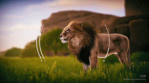 画像ギャラリー No.003のサムネイル画像 / 東アフリカで野生動物の写真を撮影する癒し系シム「Seclusa」,Steamでリリース。ゆったりとリラックスした時間を楽しめる