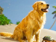 ���ߤޤߤ��̵��������ݽ��� 1�ͤ�1ɤ������Ū�ʴĶ�����夲�Ƥ����������饤�շ������Restore Your Island�פ�Steam������ȯ��