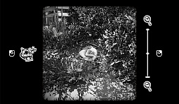 かくれにゃんこを探せ！〜 Cat Me If You Can 〜