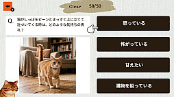 猫博士　下僕用ー本気で学ぶ猫様の取扱説明書ー