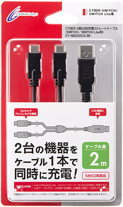 2USB Type-CƱ˽ŤǤԽť֥뤬о